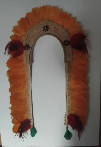Cocar indígena