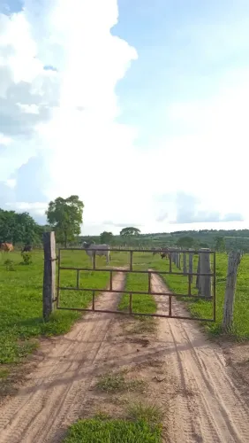 Chácara 30 hectares