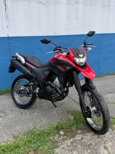 VENDO LANDER 2023