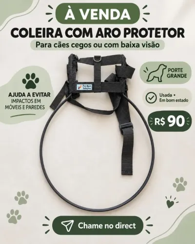 Coleira com aro protetor Pet Best para cães cegos ou com baixa visão.