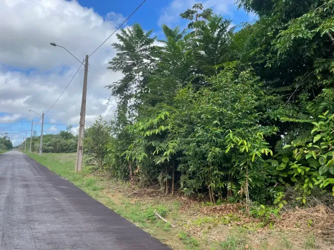 Chácaras Rio Negro lote A vista R$80 Mil Pronto para Construir Iranduba - AM
