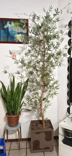 Bambu Artificial 2m
