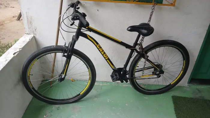 Bicicleta