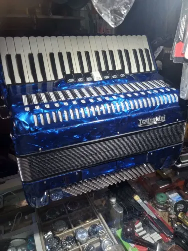 Acordeon 120b