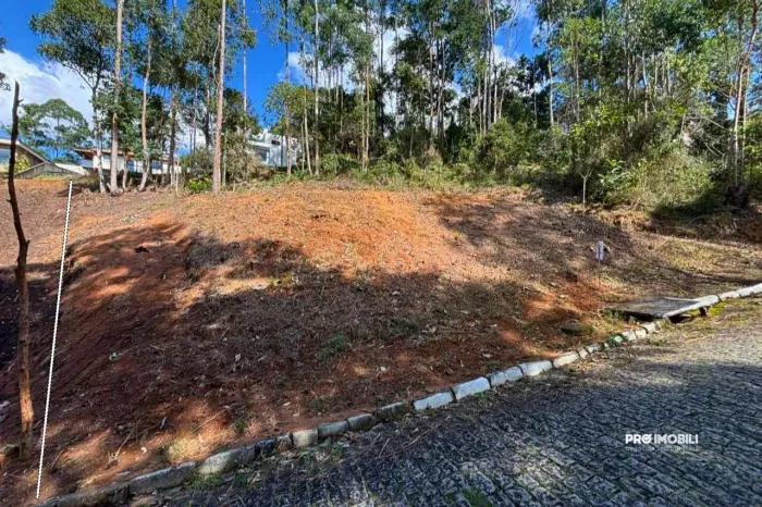 Terreno à venda, 363 m2, projeto aprovado, Cônego, Nova Friburgo - RJ