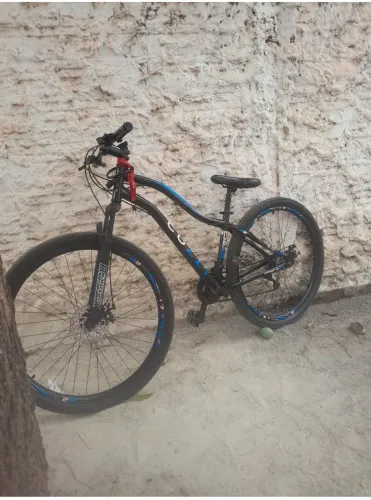 Bicicleta
