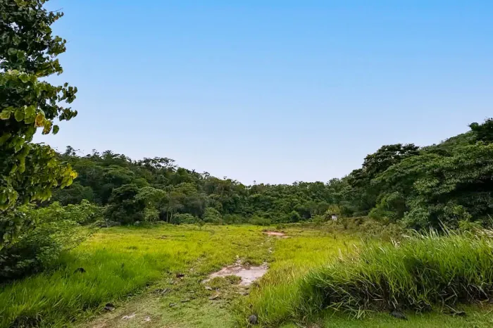 Terreno em condomínio em Pedro do Rio, Petrópolis