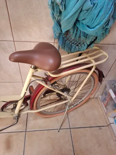 Bicicleta com cesto