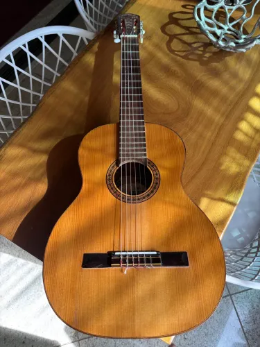 Violão Di Giorgio Signorina