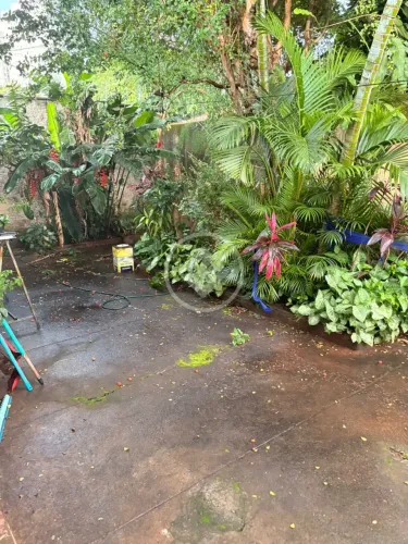 Lote Residencial 388 m2 | Parque Amazonas codigo: 267321