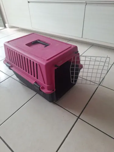 Caixa para transporte de gatos