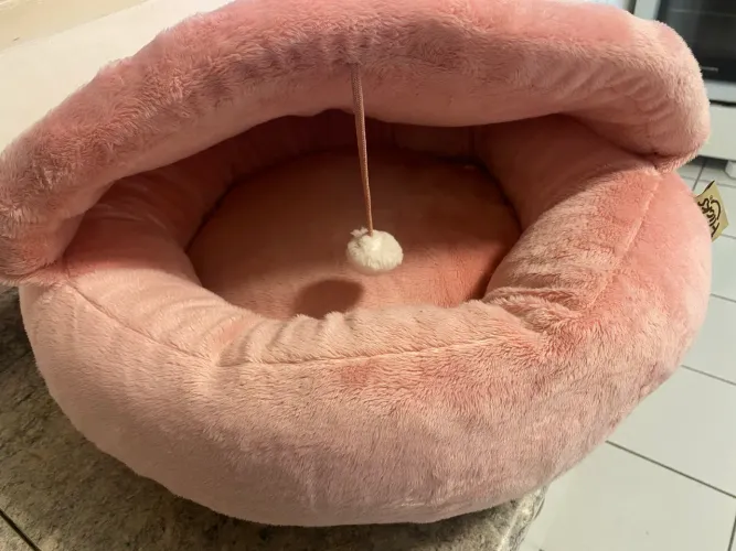 Toca gatinho