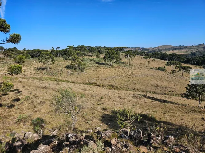 Área Rural em Cedro, Urupema/SC