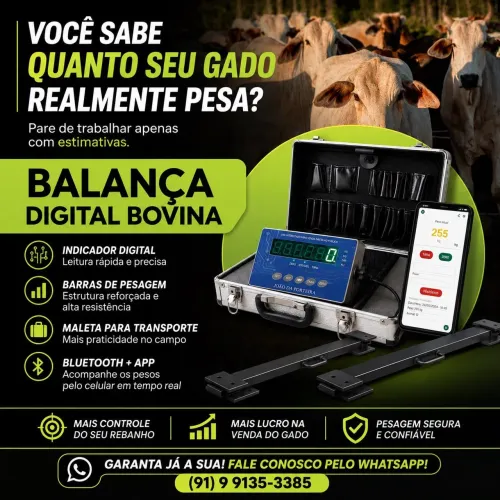 Balança eletrônica de pesar gado