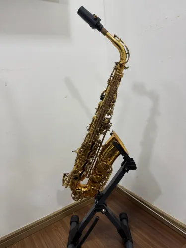 Sax alto Waldman - usado