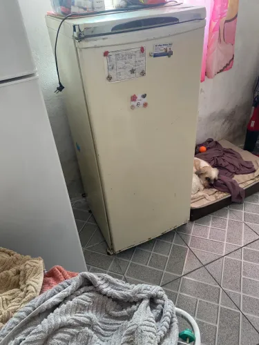 Freezer 220v 