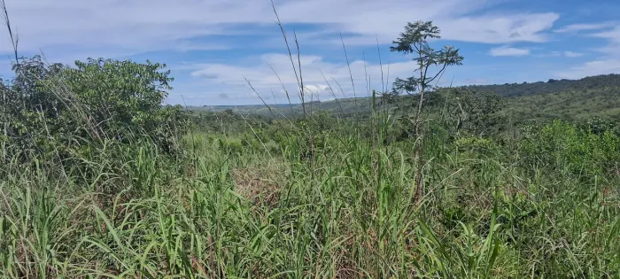 Chácara de 5.000 mts p.alta bom para usina solar