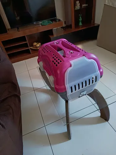 Doação uma caixa grande de transporte e duas gatinhas 
