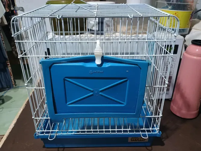 Vende-se gaiola whatsapp 69 9 *