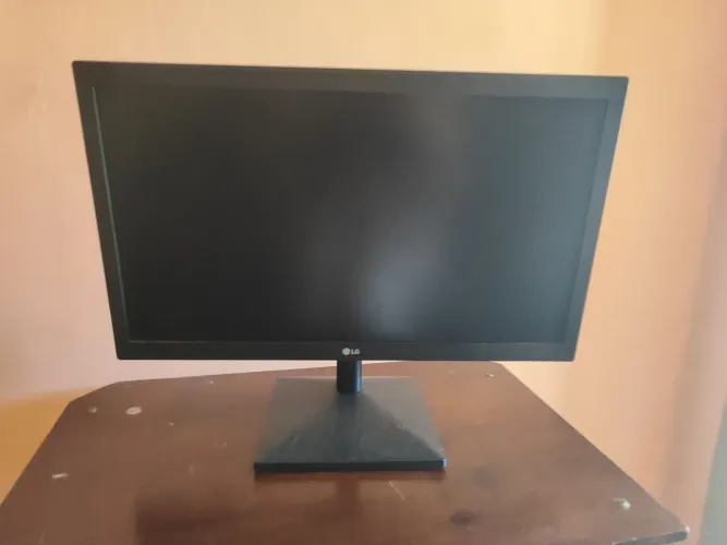 Monitor LG 19" 60HZ USADO