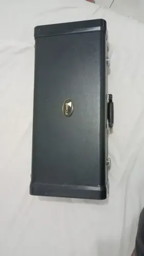 Saxofone Alto Eagle Laqueado Dourado Sa501 Com Estojo (Usado)
