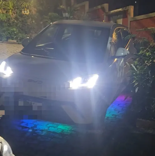 BYD Dolphin Mini (Elétrico) 2024