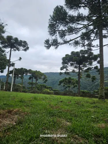 sitio a venda em Urubici