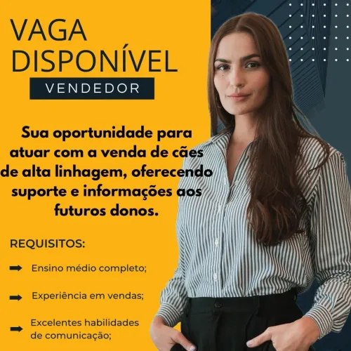Vaga de emprego disponível para vendedoras e auxiliar de serviços gerais 