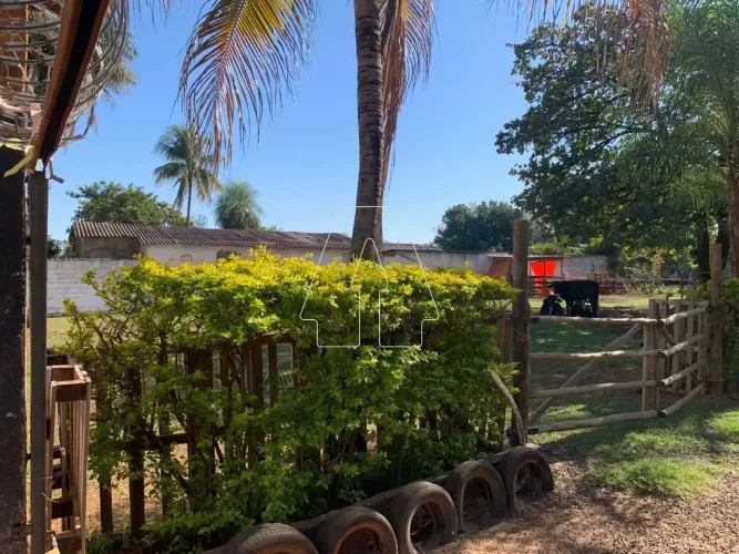 Chácara no bairro Chácara Bandeirantes em Araçatuba/SP