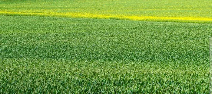 O Terreno para venda tem 1.440 metros quadrados em Altiplano Cabo Branco - João Pessoa - P