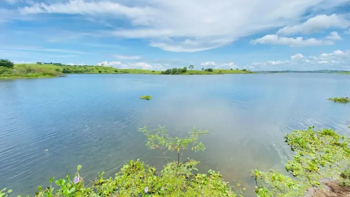 Haras em São Gonçalo