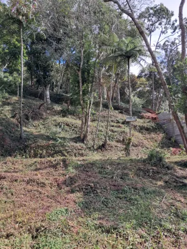 Terreno Nova Suíça Rua da Creche sem saída asfaltado