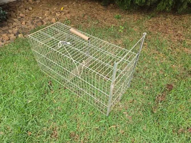 GAIOLA DE CONTENÇÃO / MANEJO VETERINÁRIO / ARMADILHA GATOS