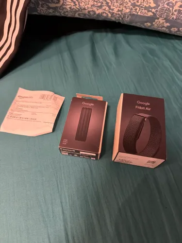 Google Fitbit Air