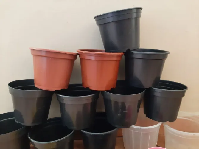 Desapego! Vasos para flores.