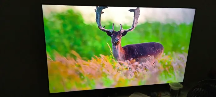 Smart TV 4K TCL QLED, 55 POL, 120HZ com nota fiscal 