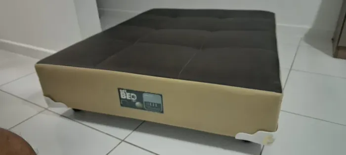 CAMA para PET - Seminova, qualidade top