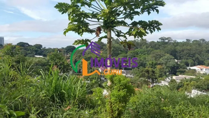 TERRENO - REAL PARQUE - SP