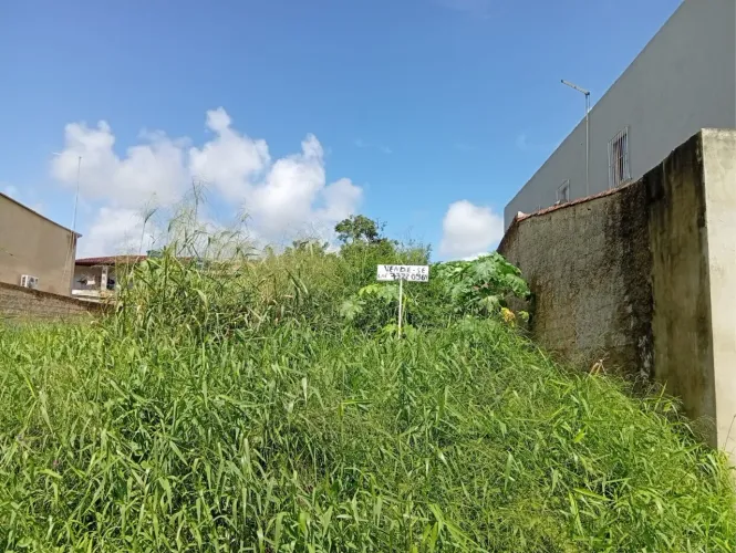 Terreno em feira nova
