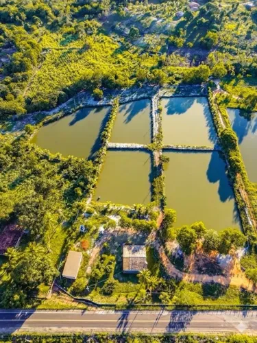 SÍTIO À VENDA