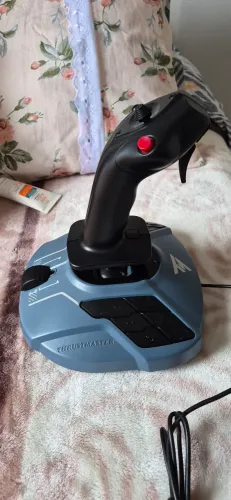 Manche Thrustmaster