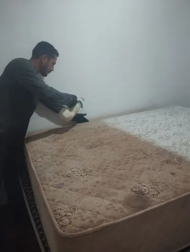 Lavo e higienizo estofados 