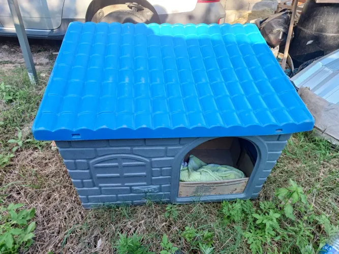 Casinha Para Cães e Gatos Grande Semi Novo.