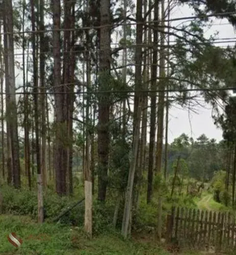 Terreno de 54.330m² à Venda  Cipó do Meio / Embu-Guaçu