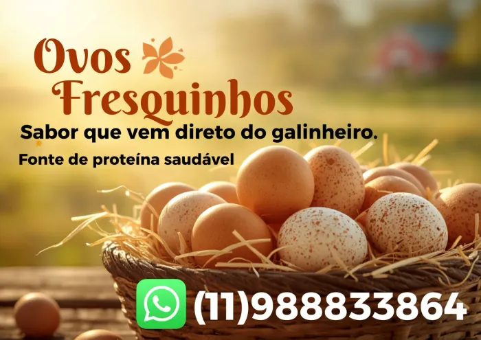 Ovos fonte de proteína saudável 