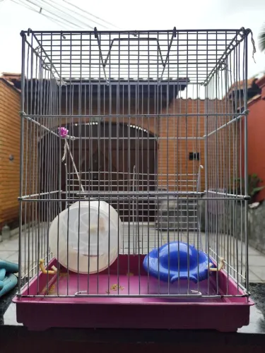 Gaiola para ramister