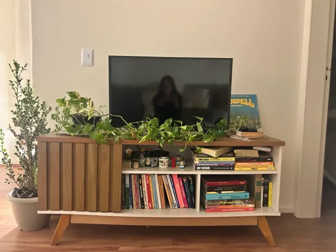 Rack TV