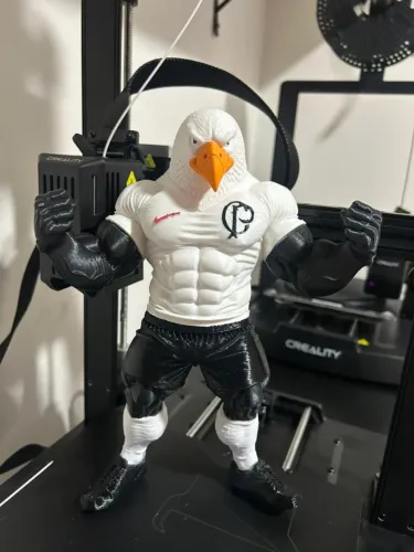 Gavião do Corinthians 