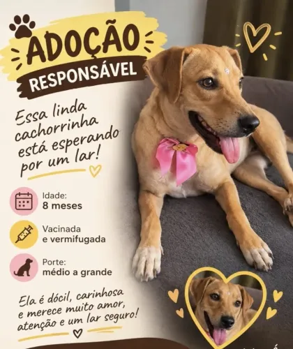 Doação