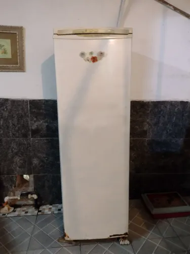 Freezer 250 litros eletrolux